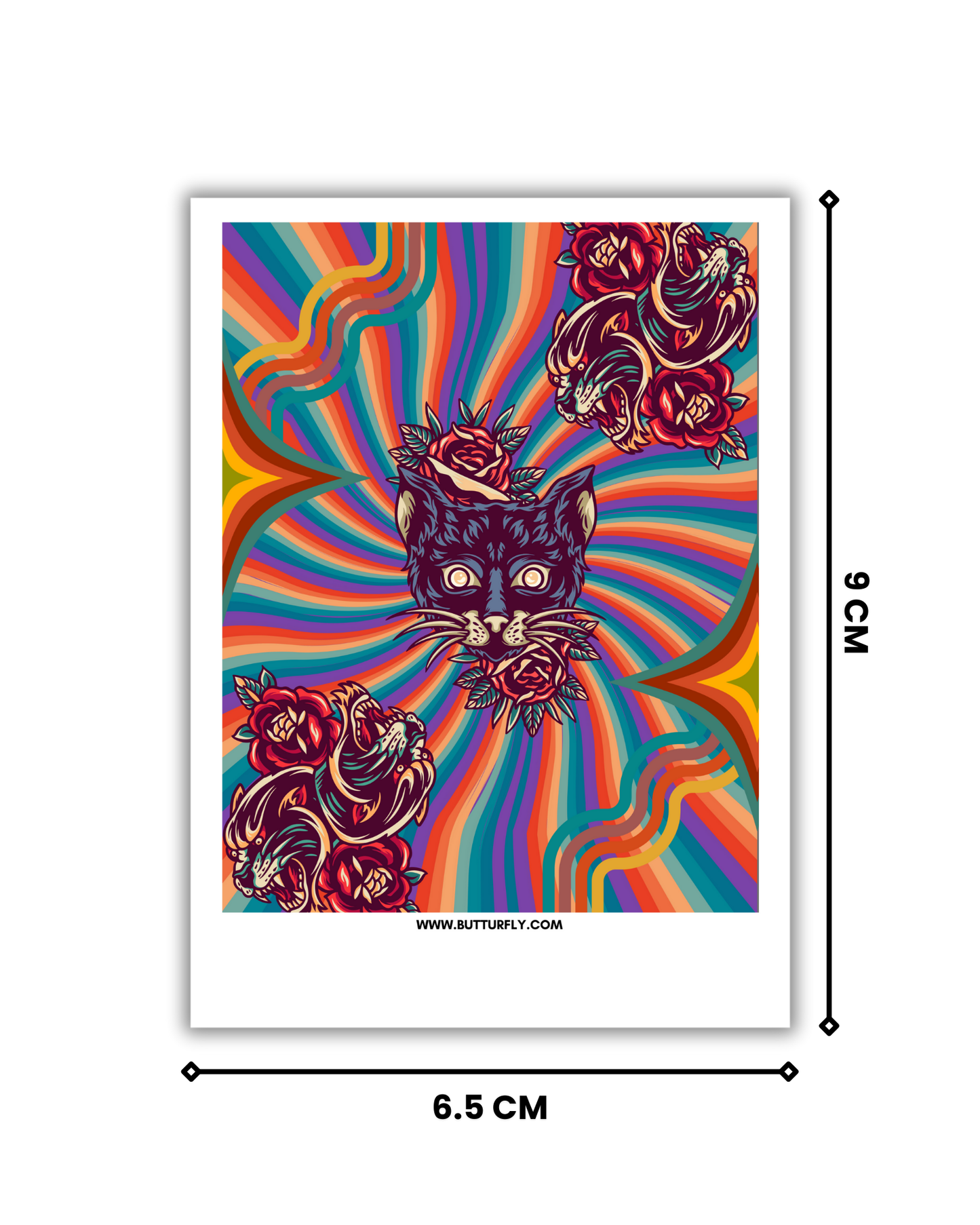 Hypnocat | Trippy Polaroid