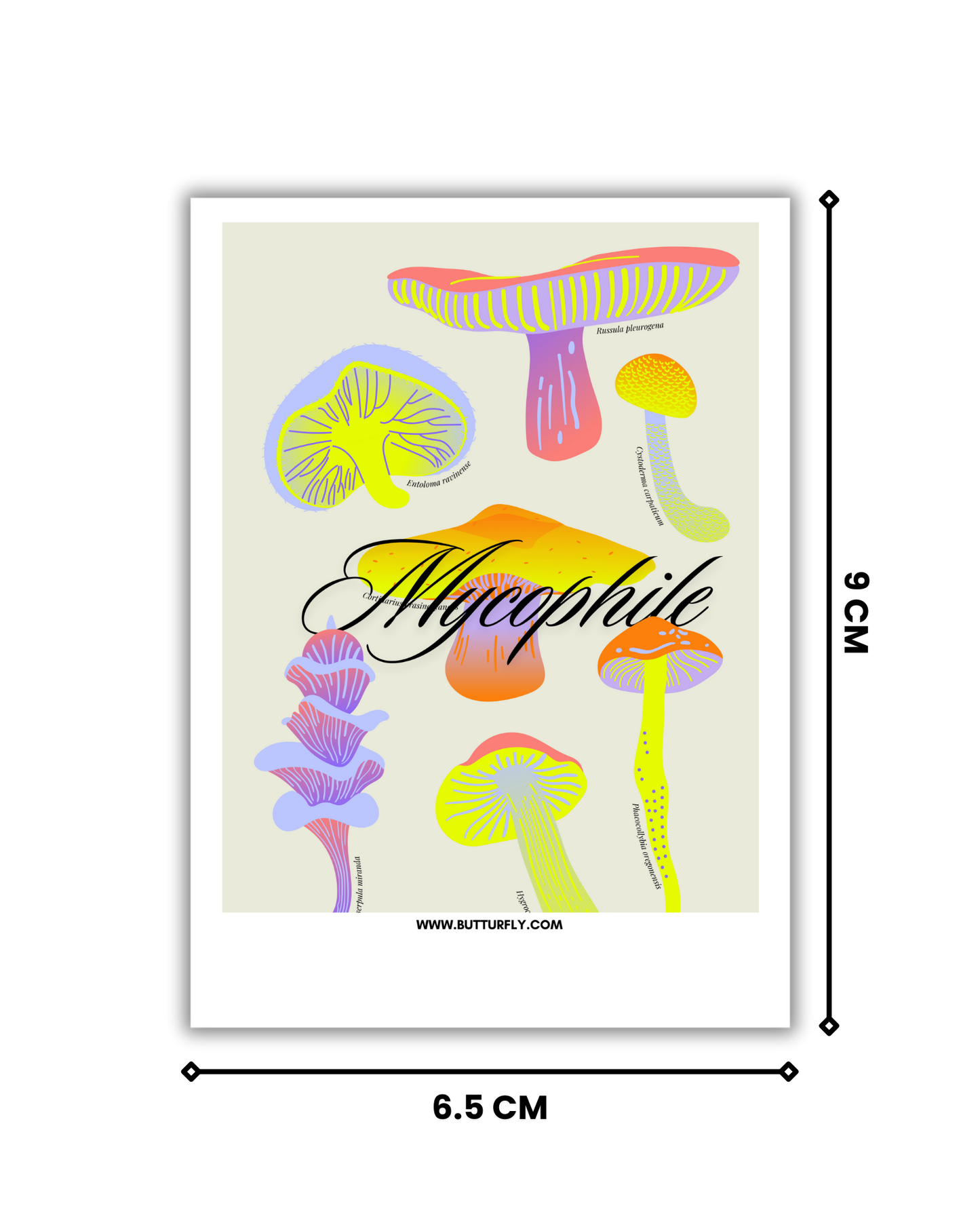 Mycophile | Trippy Polaroid