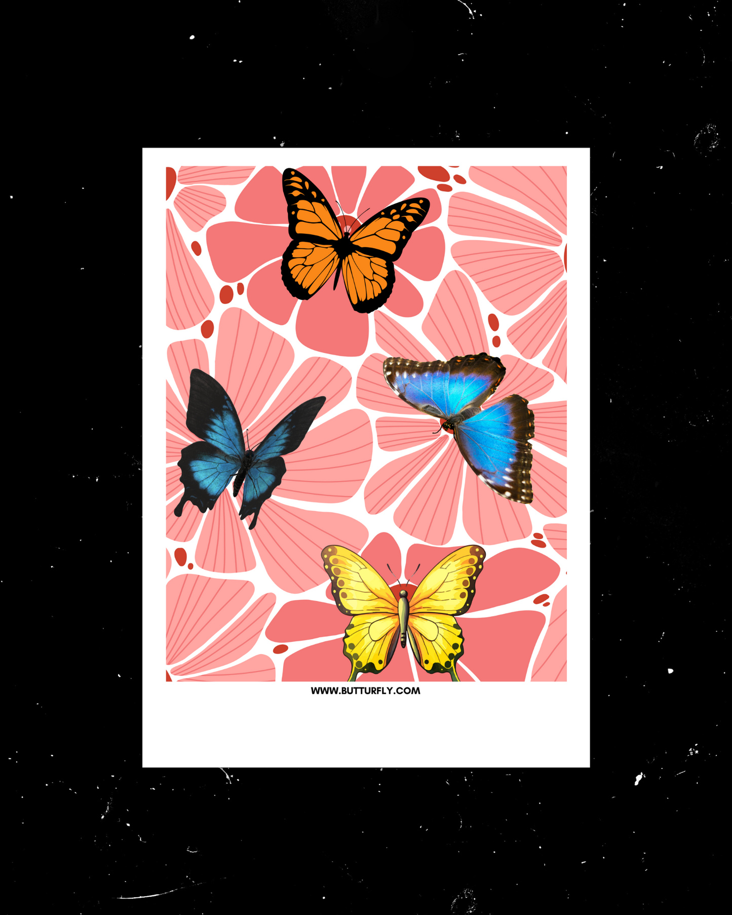 Butterflies | Normal Polaroids