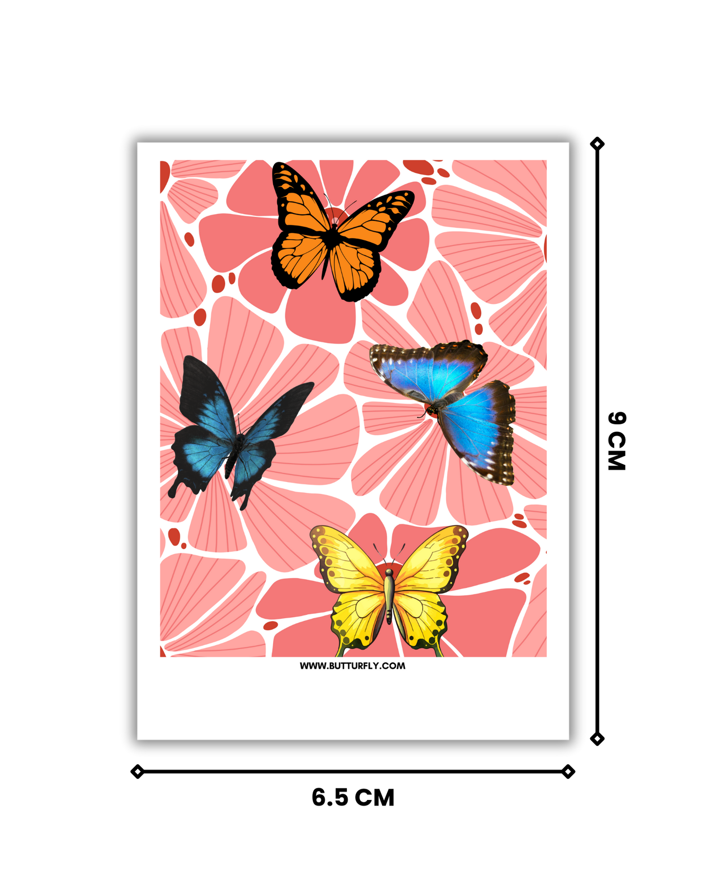 Butterflies | Normal Polaroids