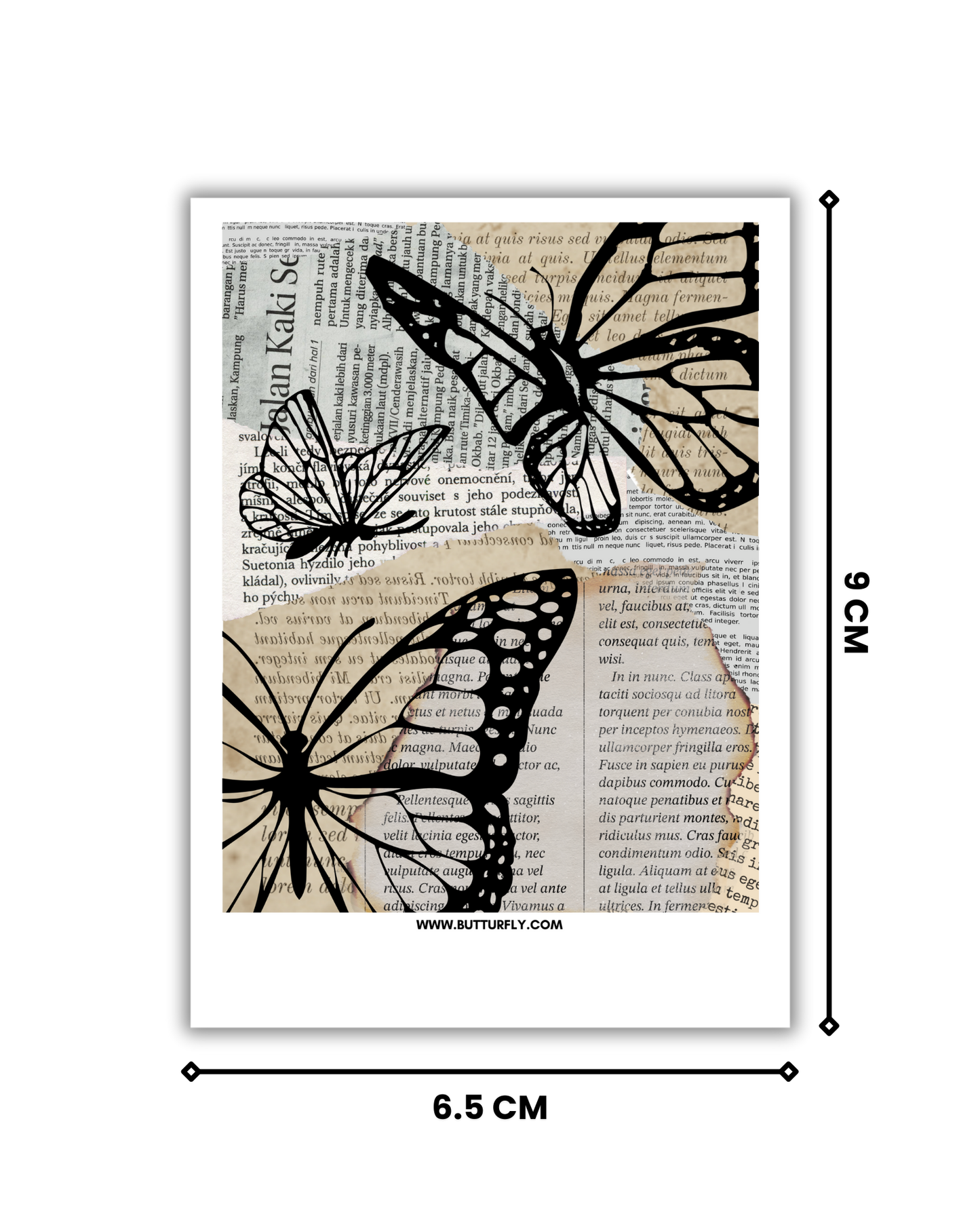 Vintage Butterflies | Normal Polaroid