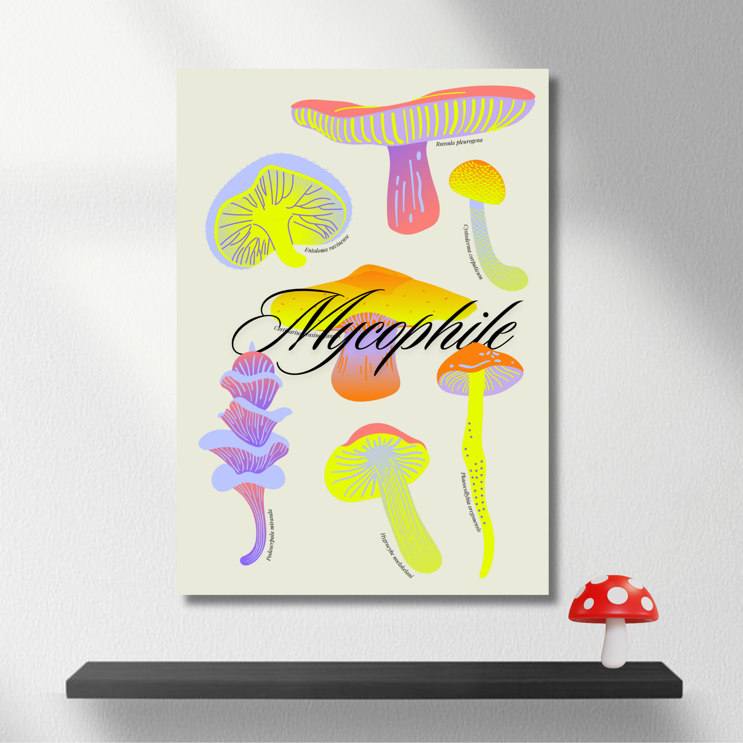 Mycophile