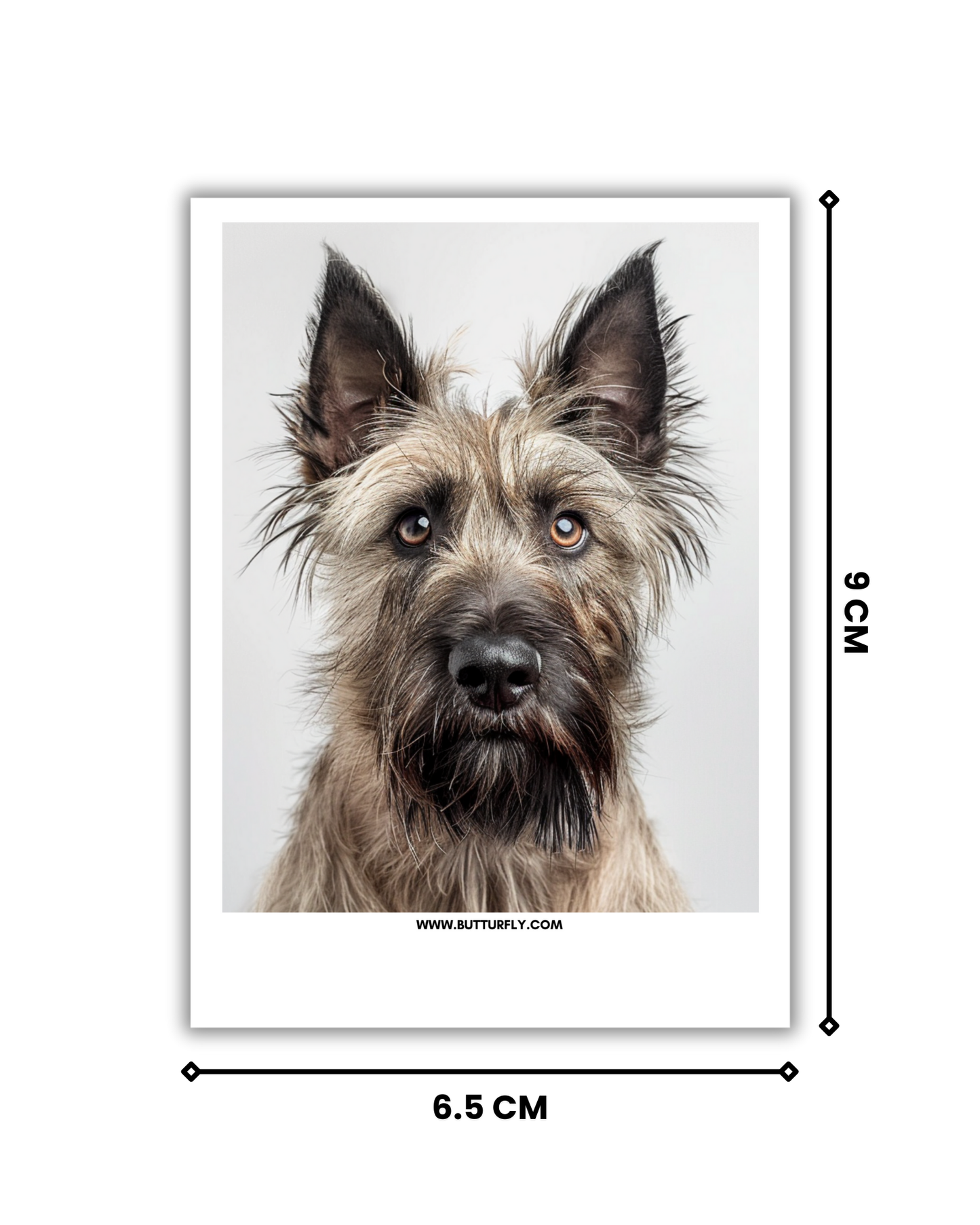 Woof | Dog Polaroid