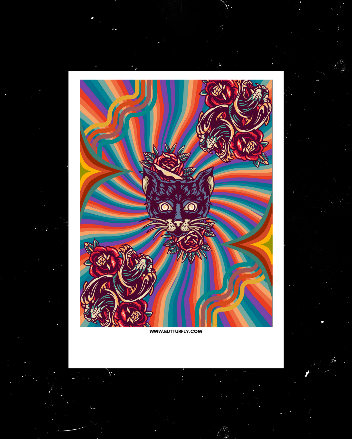 Hypnocat | Trippy Polaroid