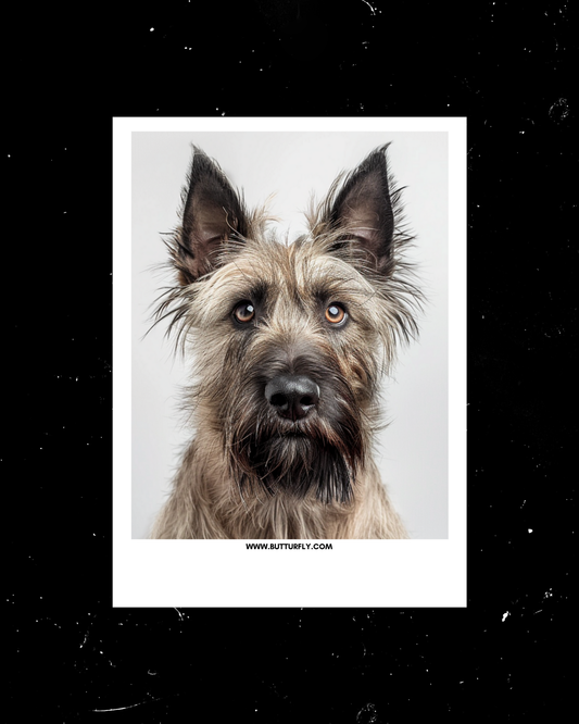 Woof | Dog Polaroid